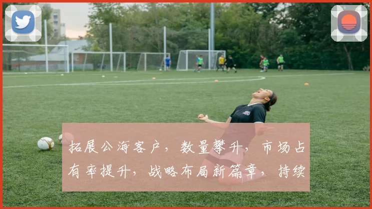 拓展公海客户，数量攀升，市场占有率提升，战略布局新篇章，持续创新，共筑辉煌。