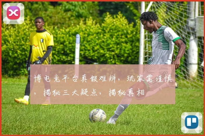 博电竞平台真假难辨，玩家需谨慎，揭秘三大疑点，揭秘真相