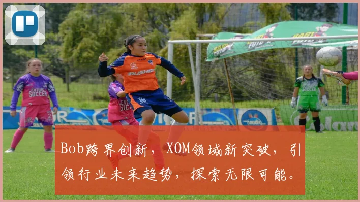 Bob跨界创新，XOM领域新突破，引领行业未来趋势，探索无限可能。